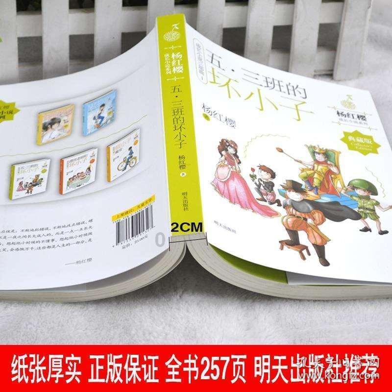 康内集成灶|不同的菜系,相同的选择!