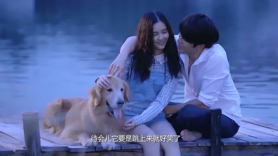 口袋森林世界杯传球大赛