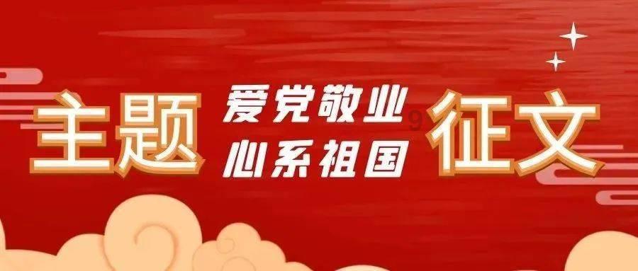 救援可爱小猪仔