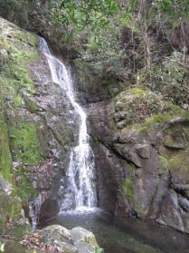 沿河口村异地安置项目本月底全部交房