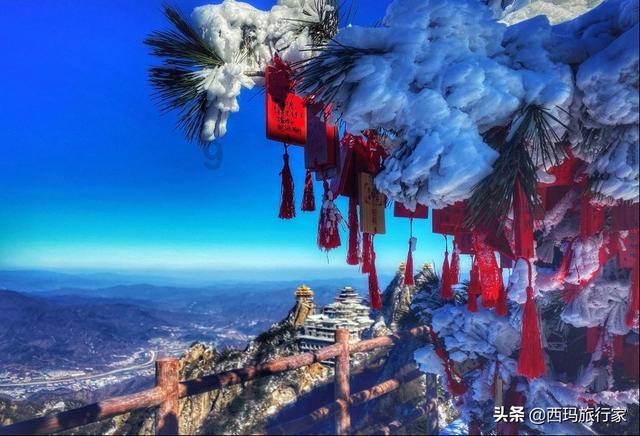 我发现我妈妈谈恋爱了，我该怎么办啊？游戏画面